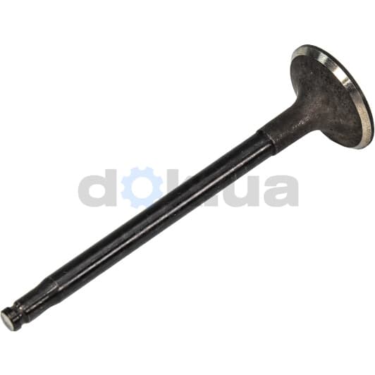 001 VE 30532 000 Mahle Впускной клапан