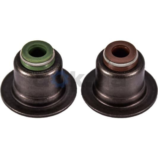 12-33876-01 Reinz Комплект сальників клапанів