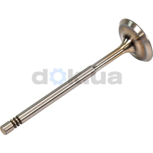 V94116 AE Впускний клапан