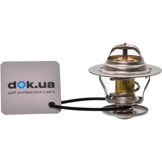 11210090501 Vika Термостат