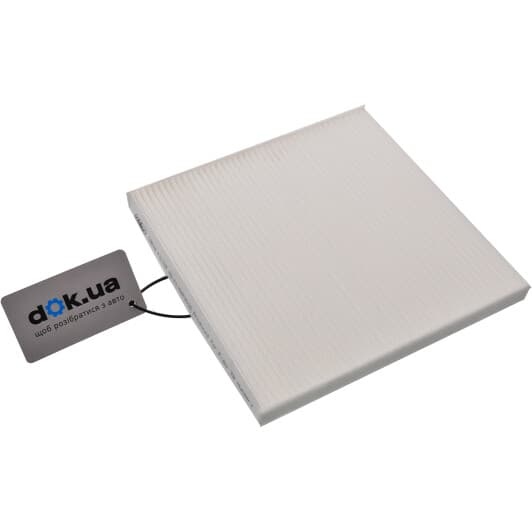 RD61J6WP9026 Rider Фильтр салона