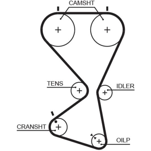5556XS Gates Ремінь ГРМ