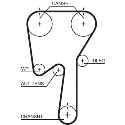 5509XS Gates Ремень ГРМ