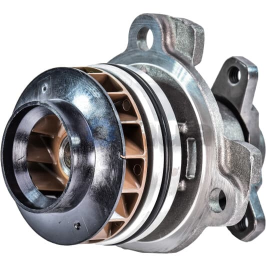 210103098R Renault / Dacia Помпа