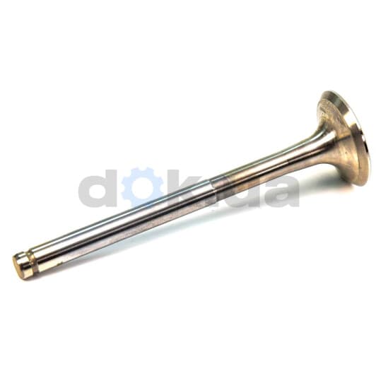 4000959 Sasic Выпускной клапан