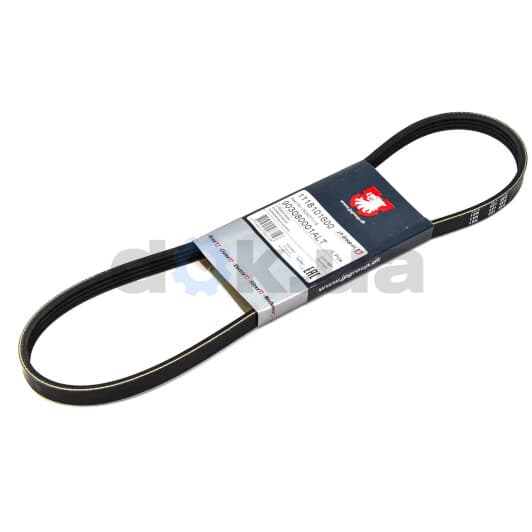 1118101600 JP Group Поликлиновой ремень