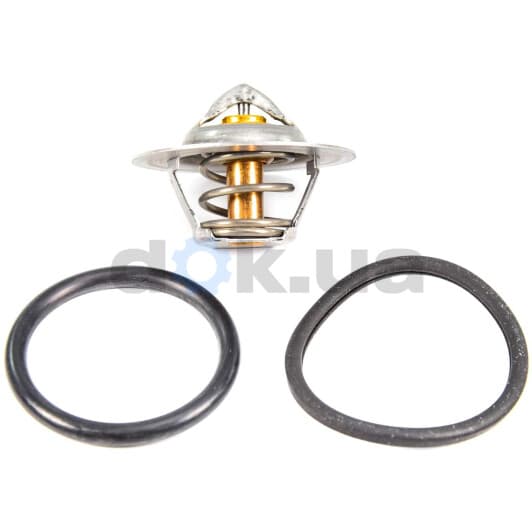 3470.89D50 Wahler Термостат