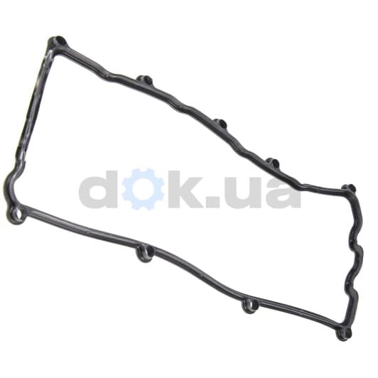 71-53146-00 Reinz Прокладка клапанної кришки