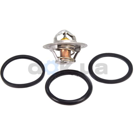 TH00182G2 Gates Термостат