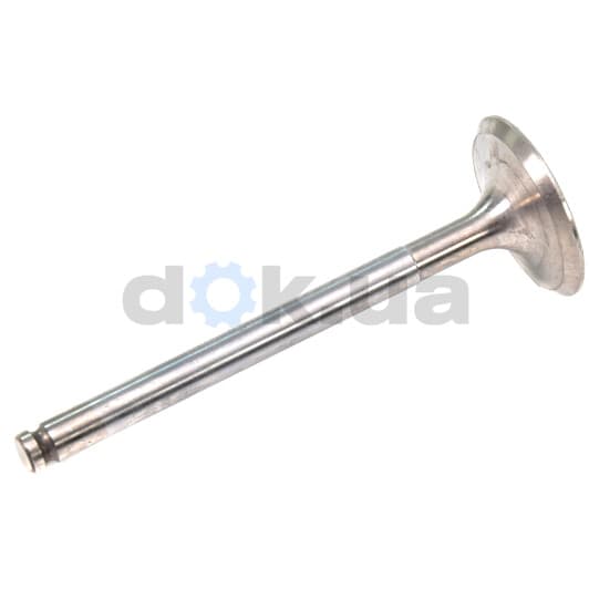 R4252/SCR Freccia Впускний клапан