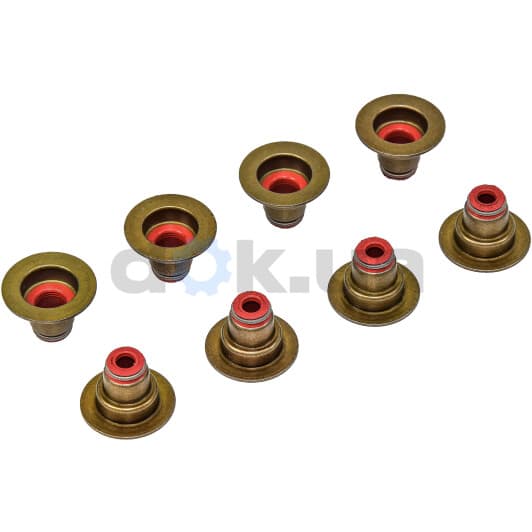 12-36613-01 Reinz Комплект сальников клапанов