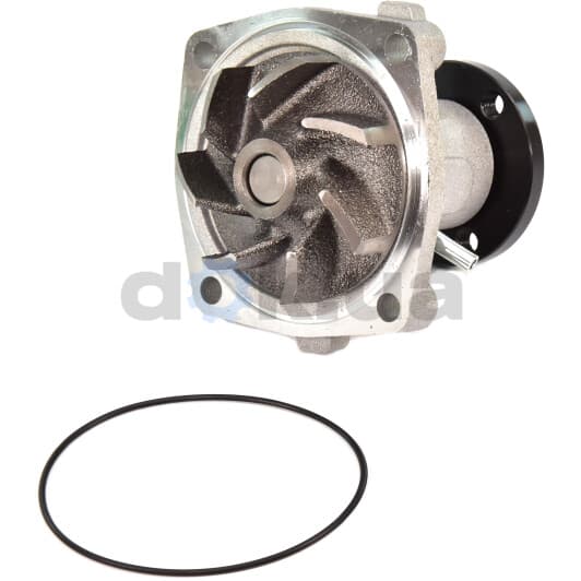 D1G042TT Thermotec Помпа