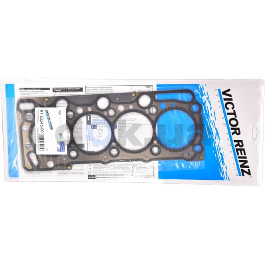 61-53245-00 Reinz Прокладка ГБЦ