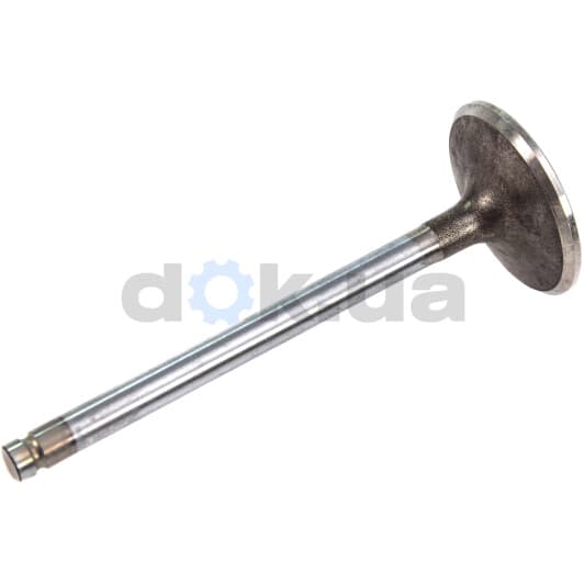 R6094/SCR Freccia Впускной клапан