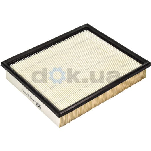 CAF100507P Champion Воздушный фильтр