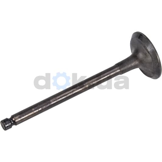 R6241/SNT Freccia Впускной клапан