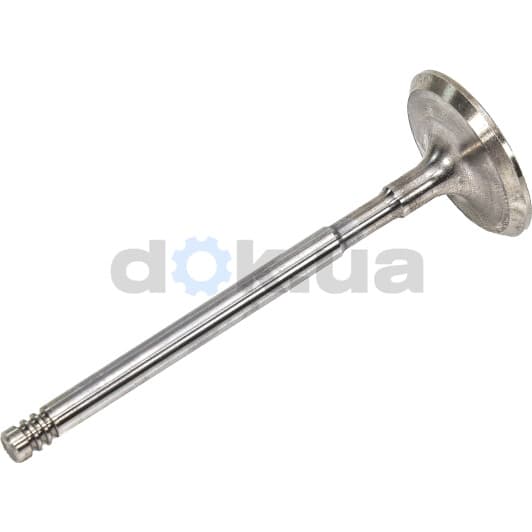 R6002/SCR Freccia Впускной клапан