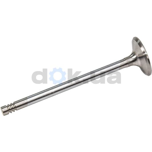 R6619/SCR Freccia Впускний клапан