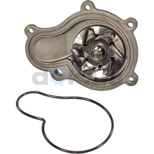 C141 Dolz Помпа