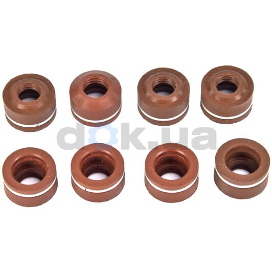 12-25227-03 Reinz Комплект сальників клапанів