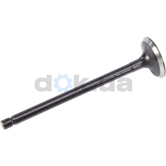 R6594/RNT Freccia Выпускной клапан