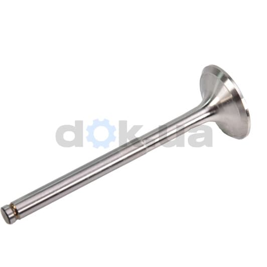 R4979/BM Freccia Впускний клапан