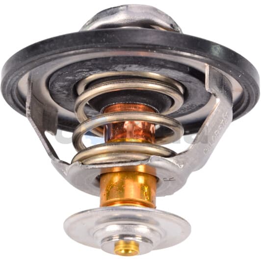 TH6311.82J Calorstat by Vernet Термостат