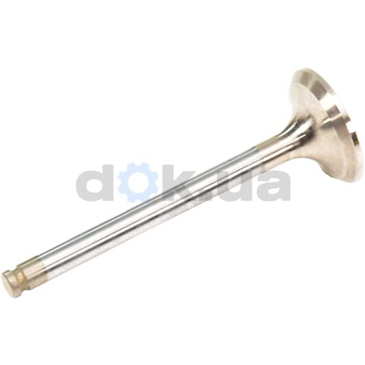 R4175/RCR Freccia Выпускной клапан