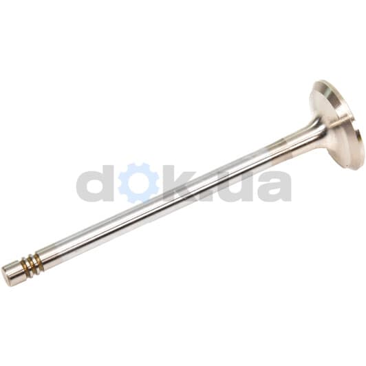 R6299/BMARCR Freccia Выпускной клапан