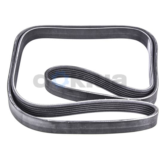 6PK1950 Contitech Поліклиновий ремінь