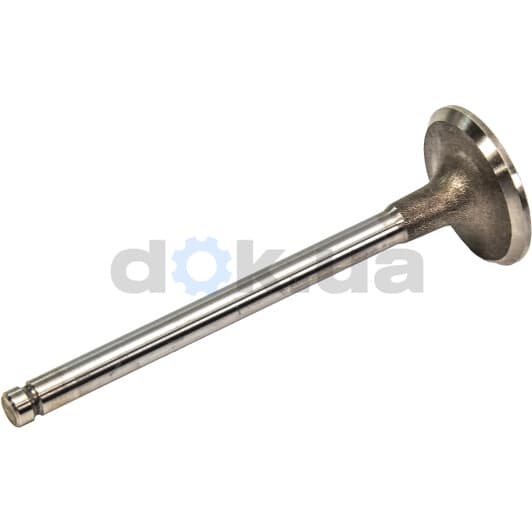 R4464/SCR Freccia Впускной клапан