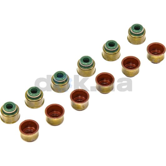 12-53507-01 Reinz Комплект сальників клапанів