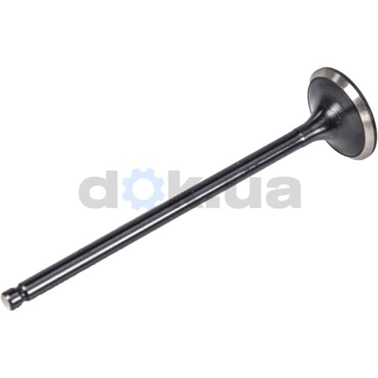 V165411 BGA Выпускной клапан