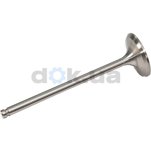 V531010 BGA Впускний клапан