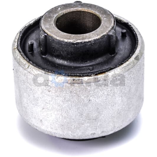 2254010 Sasic Сайлентблок рычага