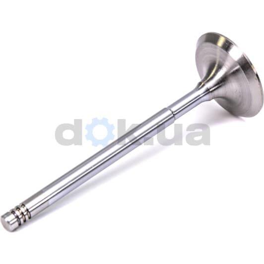 V996002 BGA Впускний клапан