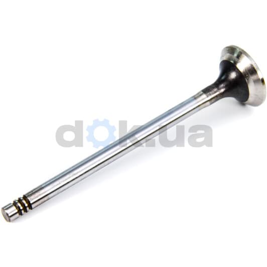 R6164/BMCR Freccia Випускний клапан