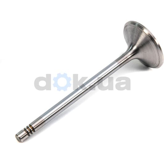 R6308/SCR Freccia Впускний клапан