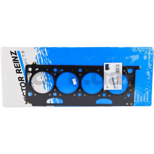 61-36645-00 Reinz Прокладка ГБЦ