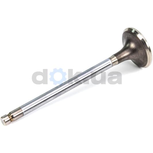 V003438 BGA Випускний клапан