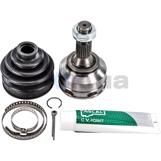 G1C022PC Pascal ШРУС