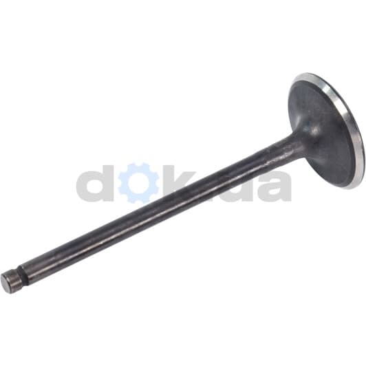 R6566/SNT Freccia Впускной клапан