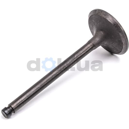 R6175/SNT Freccia Впускной клапан