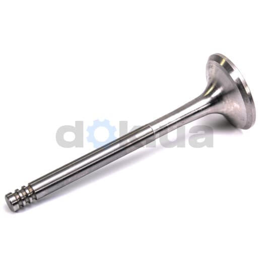 R4889/BM Freccia Выпускной клапан