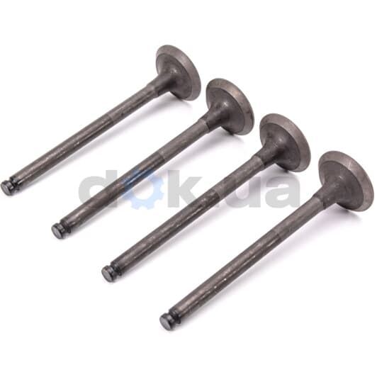 R4685/BMNT Freccia Випускний клапан