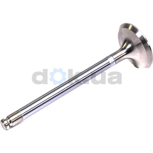 V017065 BGA Впускной клапан