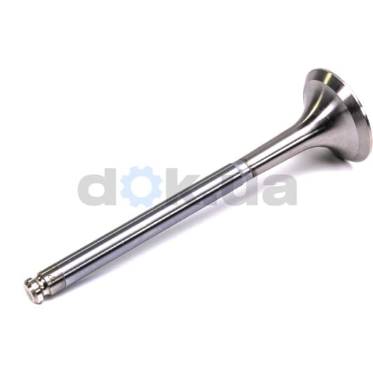 V017079 BGA Випускний клапан