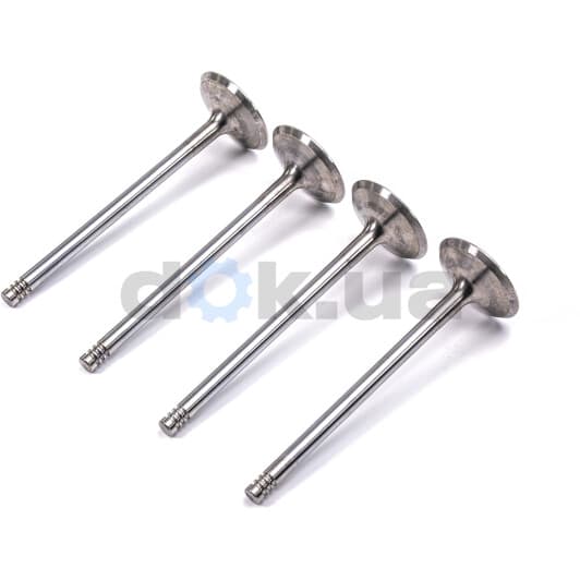 R4649/SCR Freccia Впускний клапан