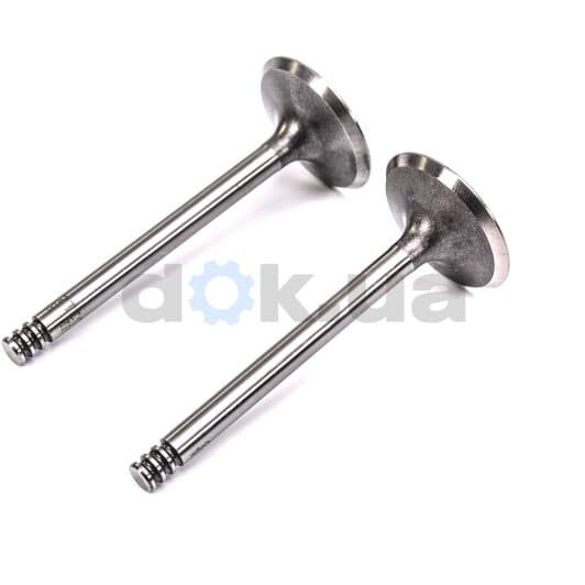 331123 TRW Впускний клапан