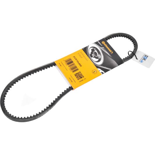 10X800 Contitech Клиновий ремінь